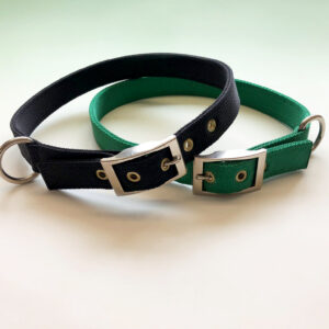 Best Quality Nylon Buckle Collar