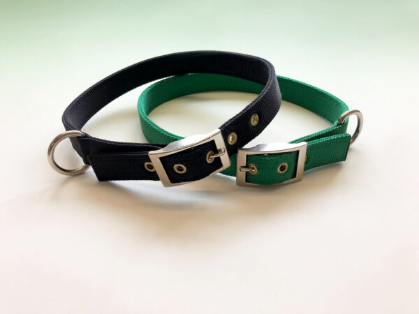 Best Quality Nylon Buckle Collar