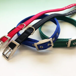 Economy Nylon Buckle Collar