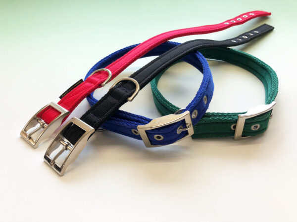Economy Nylon Buckle Collar