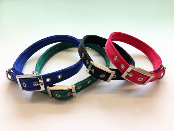 Economy Nylon Buckle Collar - Image 2