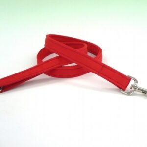 Economy Nylon Lead - 4' x 1"