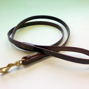 A brown leather dog lead lies loosely coiled on a light-colored surface. A brass clasp is visible at one end.