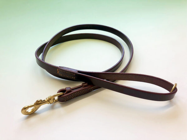 A brown leather dog lead lies loosely coiled on a light-colored surface. A brass clasp is visible at one end.