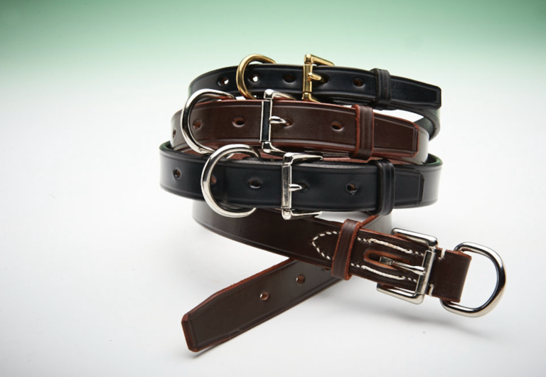 bridle leather dog collars