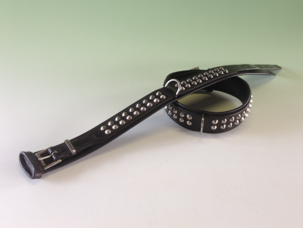 The Karenswood Studded Leather "Bull Terrier" Collar - 1.3/4" wide