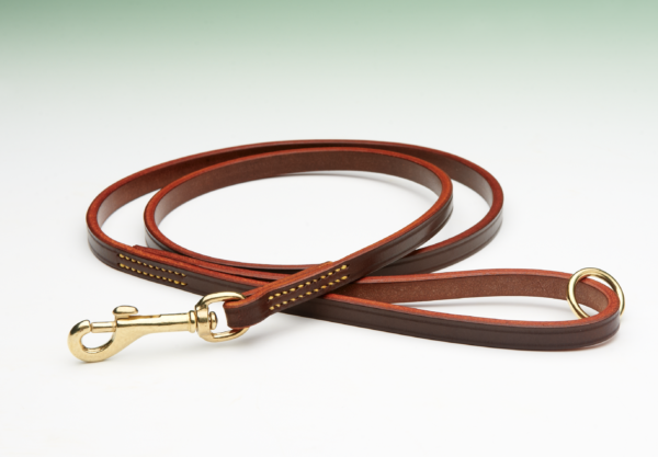 A brown leather dog leash, coiled loosely, rests on a white surface against a blurred green and white background. The leash features gold-toned metal accents and a snap hook.