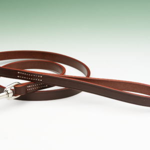 Best Bridle Leather Lead - 4' x 5/8"