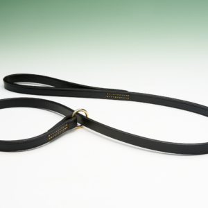 A black leather dog lead, lying flat, displays its length and a gold ring; it rests on a plain white surface against a blurred green background.