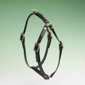 The Karenswood Economy Leather Tracking Harness