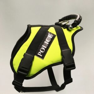 The Karenswood Riot Harness with Lockfast Buckles