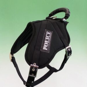 The Karenswood Riot Harness with Steel Buckles
