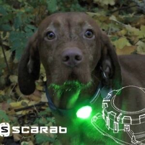 Scarab Trio Safety Beacon