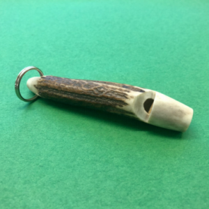 Staghorn Whistle without Pea