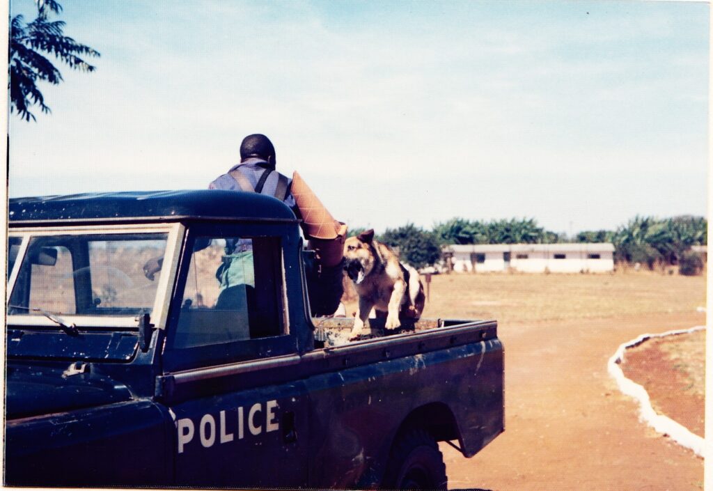 police dogs