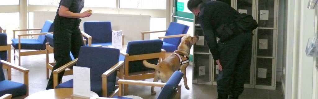 Dogs for the Detection of Diseased Human Tissue